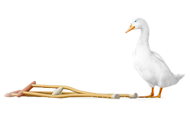 Aflac Group Accident Insurance Coverage